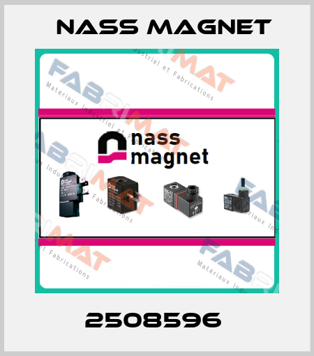 2508596  Nass Magnet