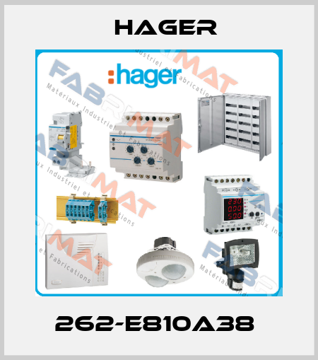 262-E810A38  Hager
