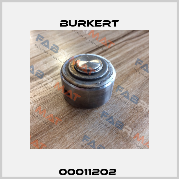 00011202  Burkert