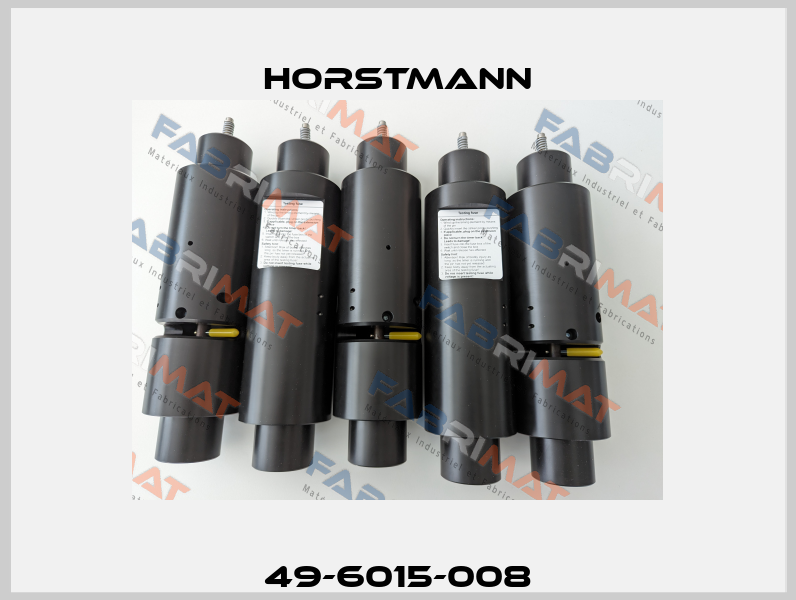 49-6015-008 Horstmann