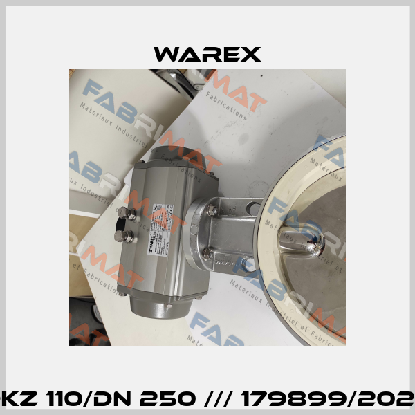 DKZ 110/DN 250 /// 179899/2020 Warex