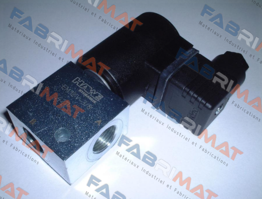 6951 4684-00 / EM 12 V-3/8-G 24 Hawe