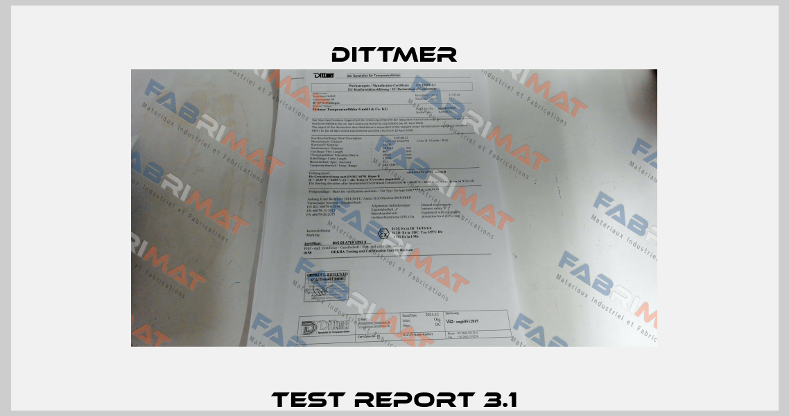 test report 3.1 Dittmer