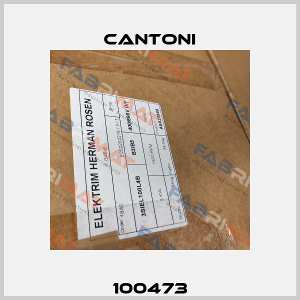 100473 Cantoni