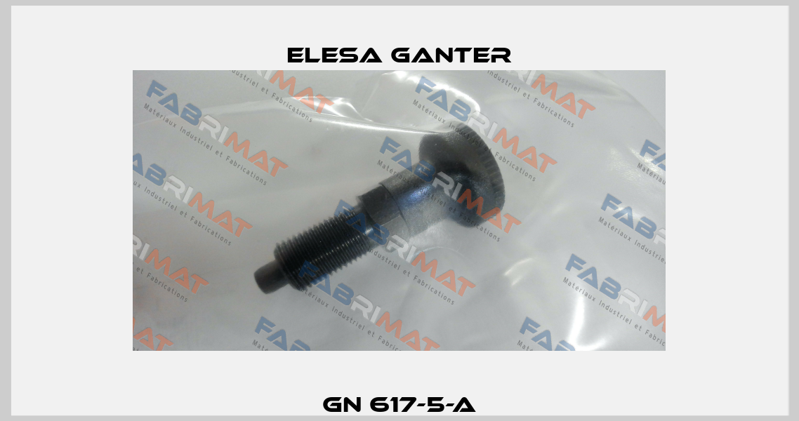 GN 617-5-A Elesa Ganter