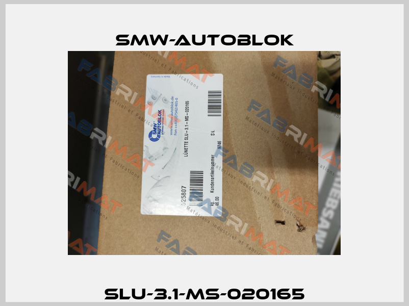 SLU-3.1-MS-020165 Smw-Autoblok