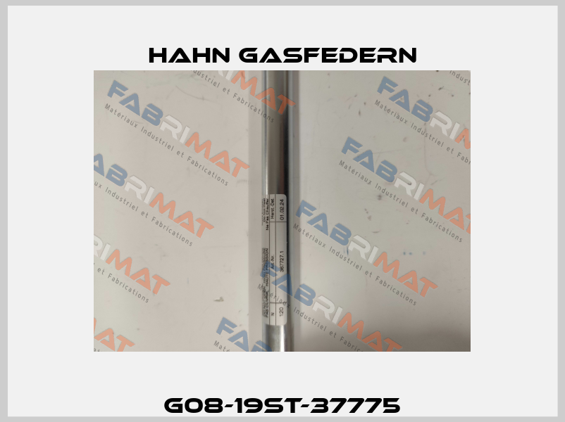 G08-19ST-37775 Hahn Gasfedern