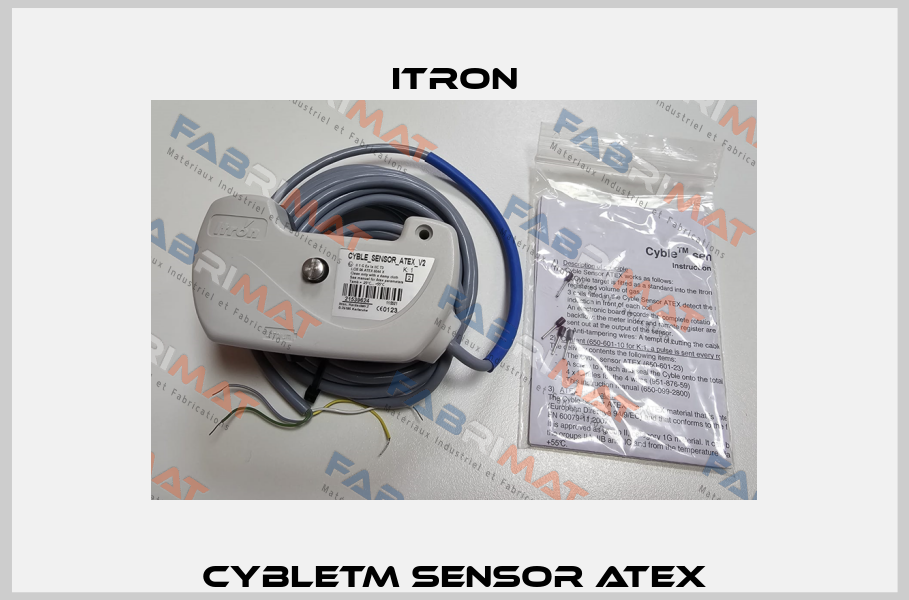 CybleTM Sensor ATEX Itron