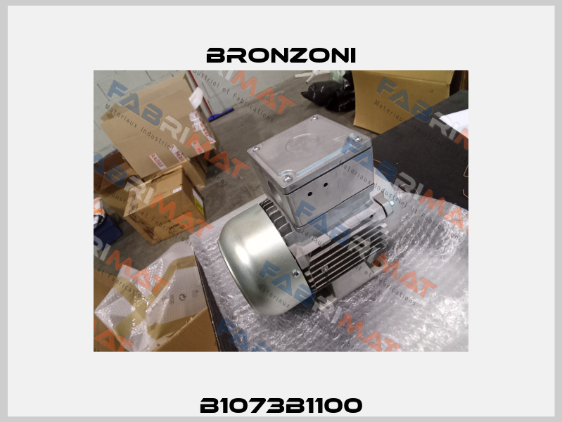 B1073B1100 Bronzoni