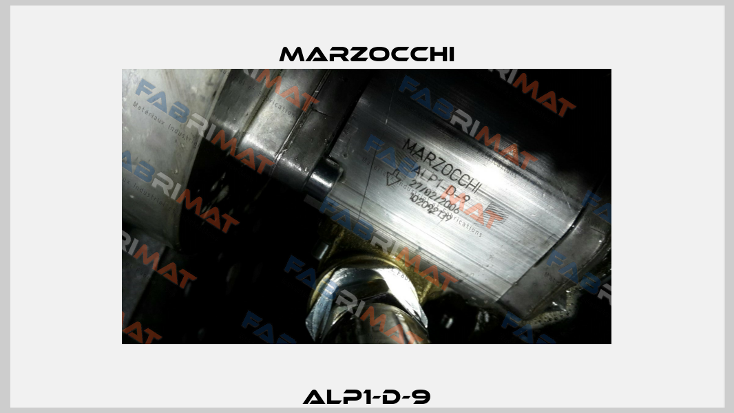 ALP1-D-9 Marzocchi