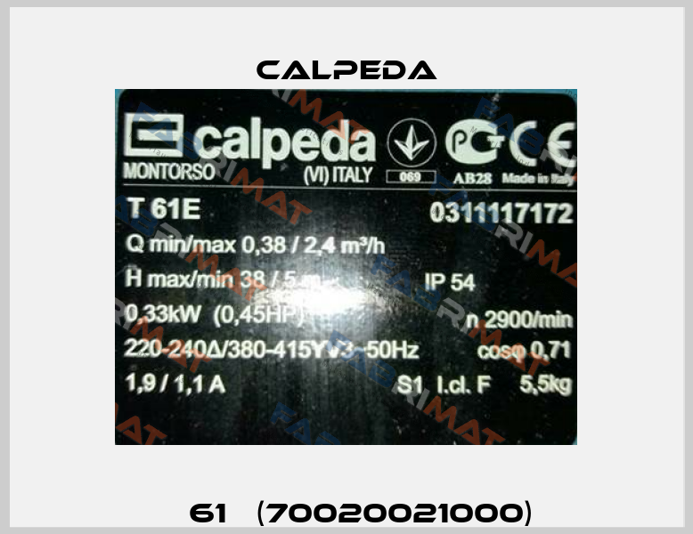 Т 61Е (70020021000) Calpeda