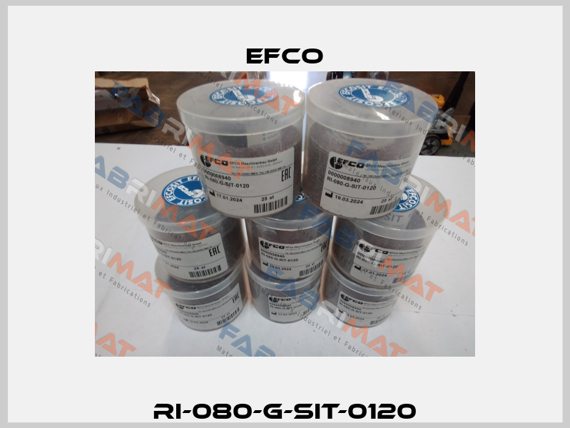 RI-080-G-SIT-0120 Efco