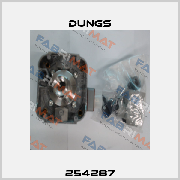 254287 Dungs