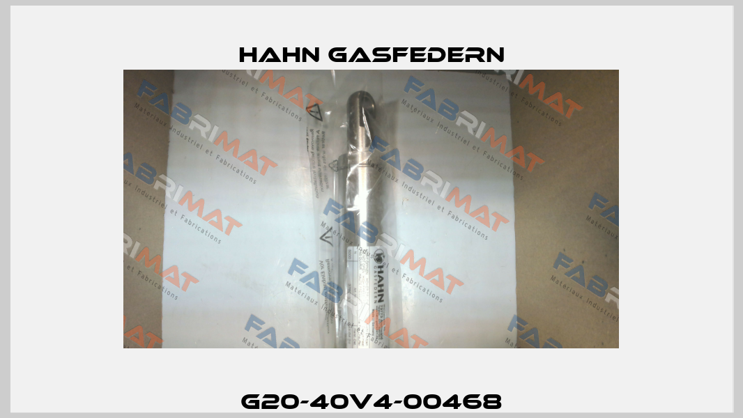 G20-40V4-00468 Hahn Gasfedern