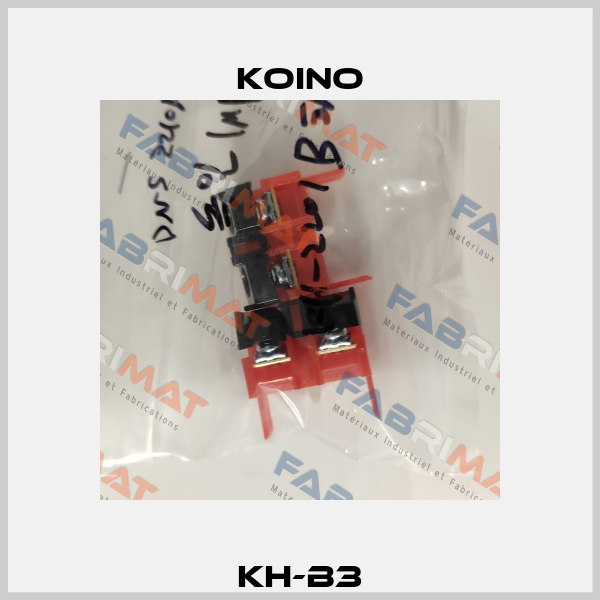 KH-B3 Koino