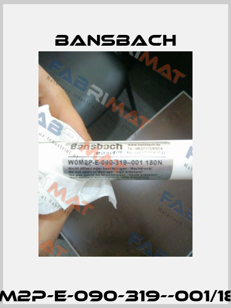 W0M2P-E-090-319--001/180N Bansbach