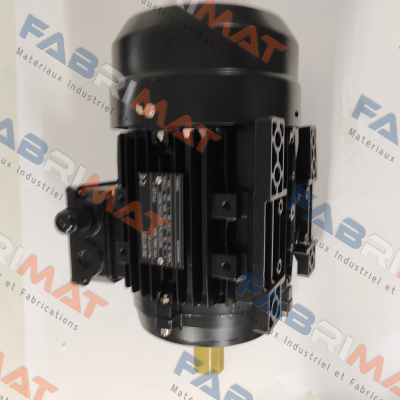 DMGL 90L4 – B3 DM Motors