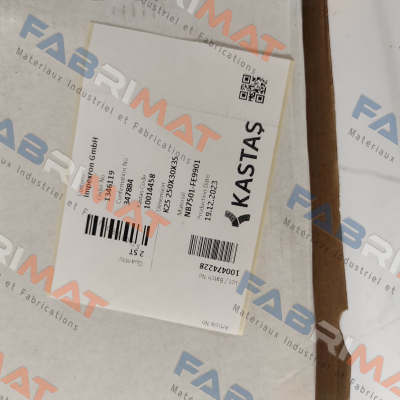 10014458 - K25 250X30X35 Kastas Sealing