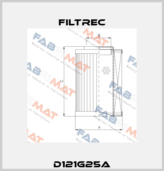 D121G25A Filtrec