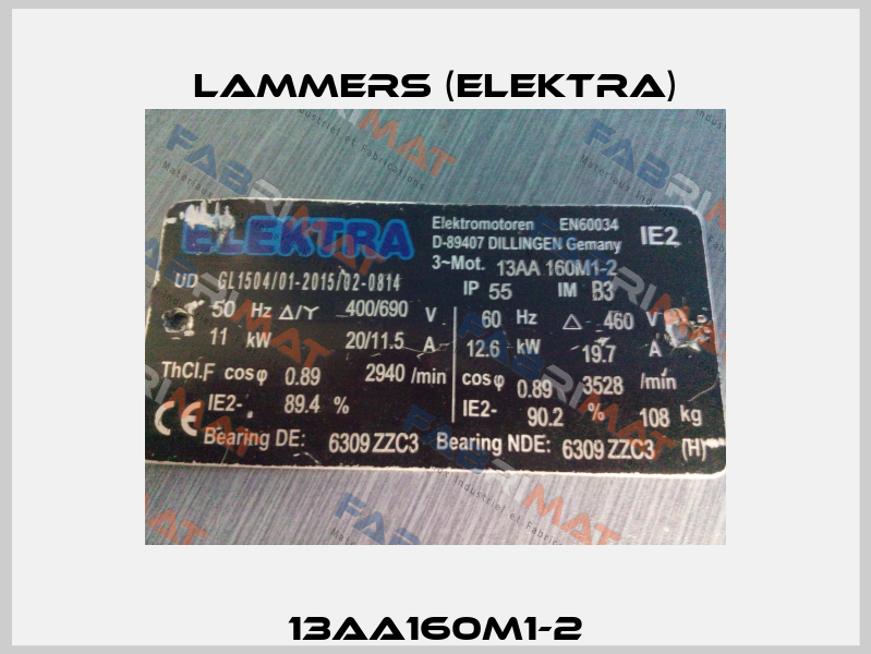 13AA160M1-2 Lammers (Elektra)