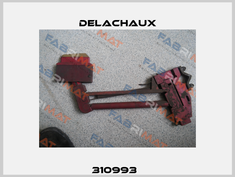 310993   Delachaux