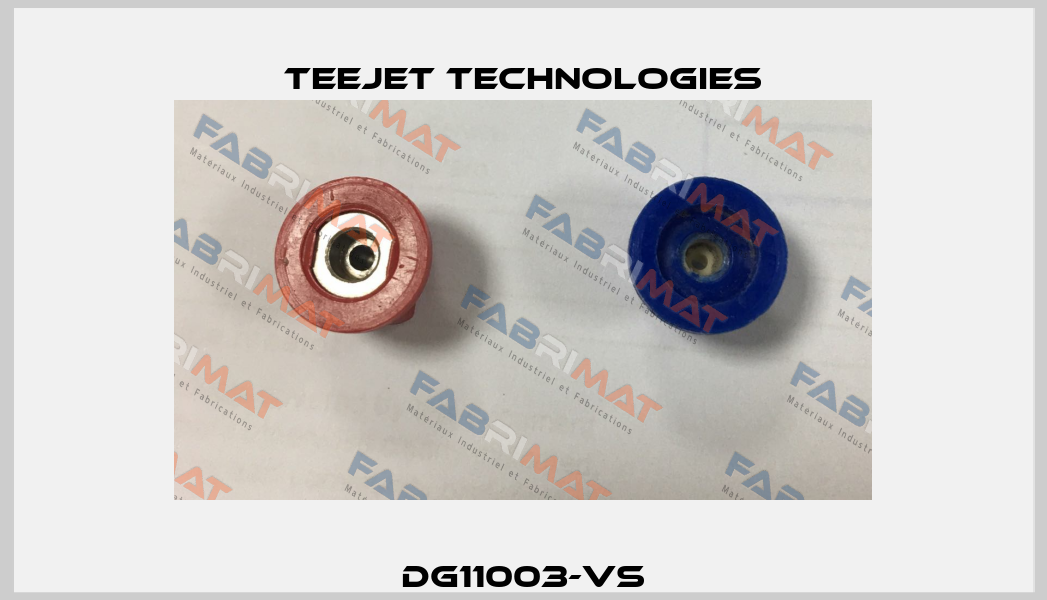 DG11003-VS TeeJet Technologies