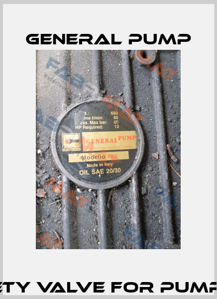 SAFETY VALVE for pump T88 General Pump