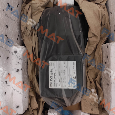 Typ 49/80R-1100-2T IE3 Simel