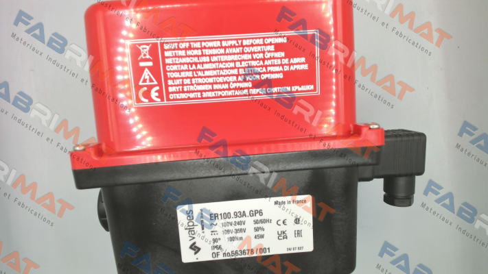 ER100.93A.GP6 Valpes