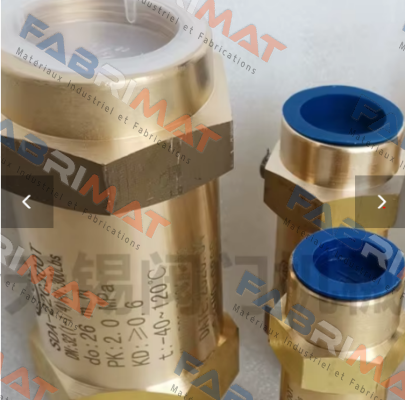 SFA-22C300T1 Shanghai BEITING