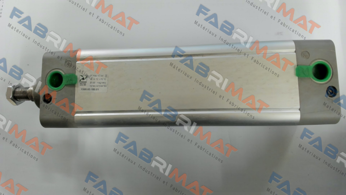 1386.63.150.01 Pneumax