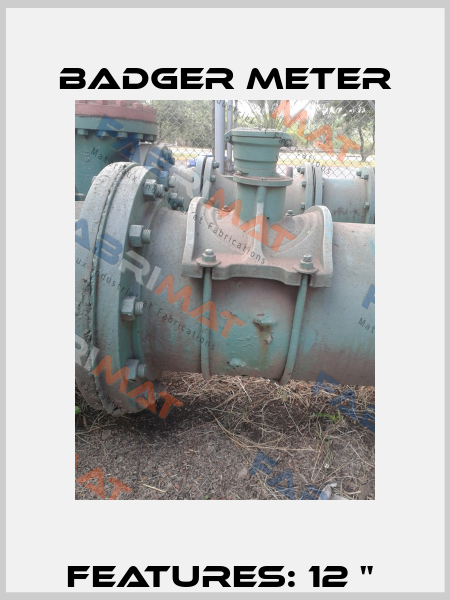 FEATURES: 12 "  Badger Meter