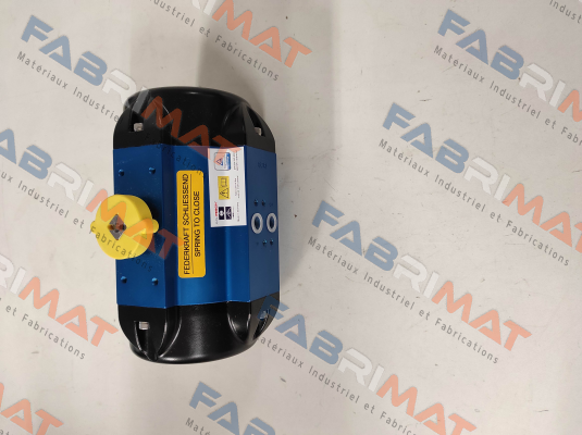 BR03-SAF / 166705 AMG Pesch