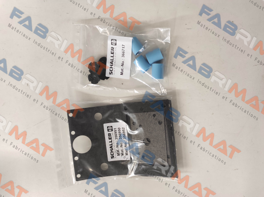 155006 Schaller Automation