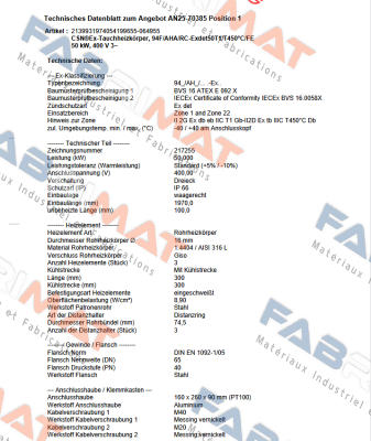94F/AHA/RC-Exdet50T1/T450°C/FE Schniewindt