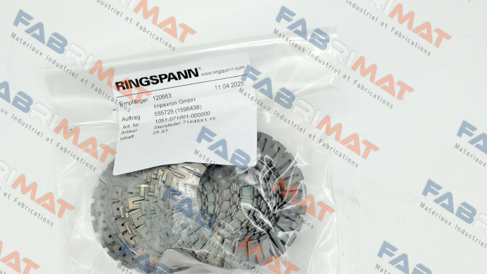 1051-071001-000000 Ringspann