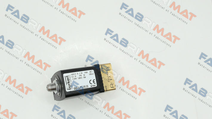 00125359 110V Burkert