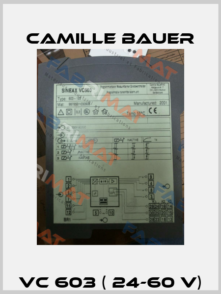 VC 603 ( 24-60 V) Camille Bauer