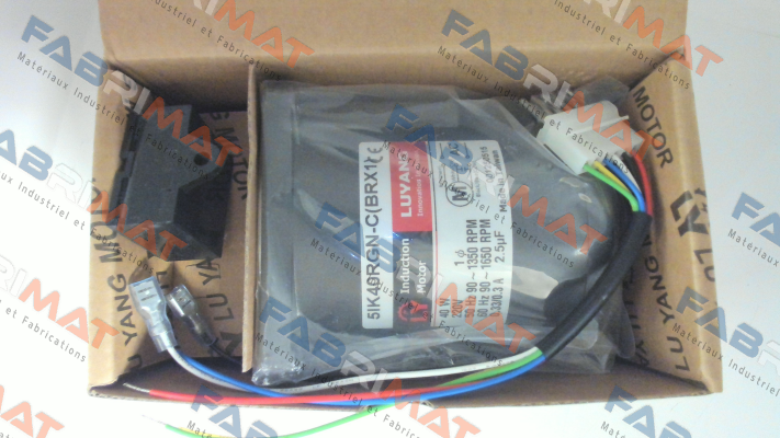 5IK40RGN-C(BRX1) Luyang Gear Motor
