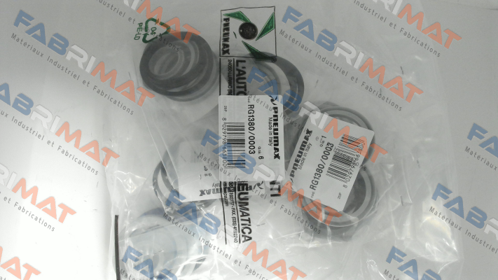 RG1380/0003 Pneumax