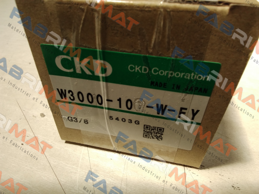 W3000-10-W-fy Ckd