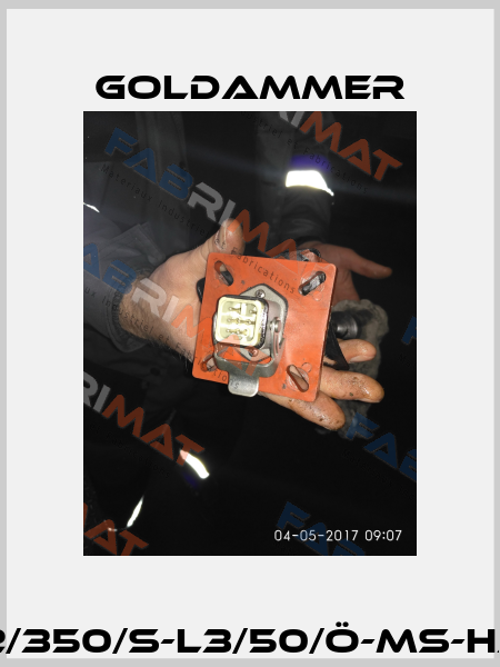03-L1/450/S-L2/350/S-L3/50/Ö-MS-HAN I (EX107.134) Goldammer