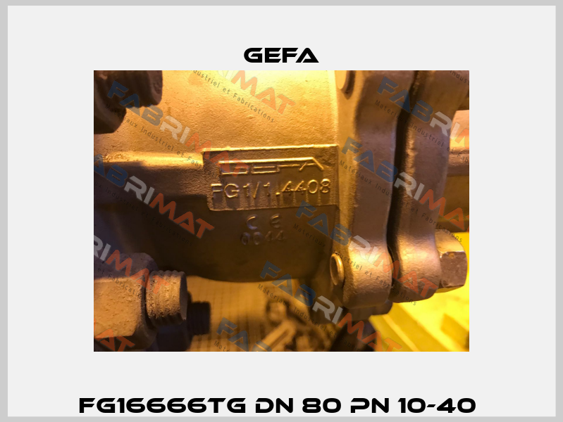 FG16666TG DN 80 PN 10-40  Gefa