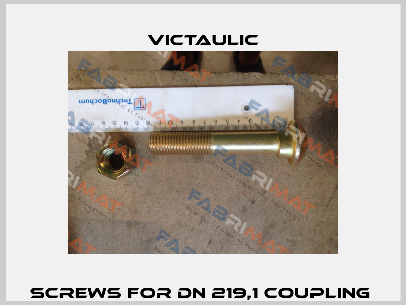 Screws for DN 219,1 coupling  Victaulic