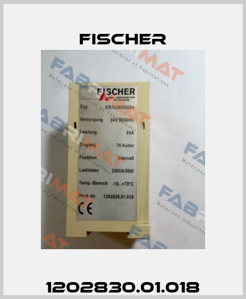 1202830.01.018 Fischer