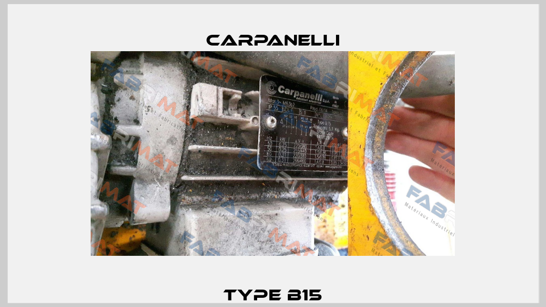 type B15 Carpanelli