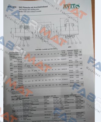 AKFV127-3 (139,7X4)  Avit