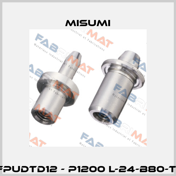 FPUDTD12 - P1200 L-24-B80-T1 Misumi
