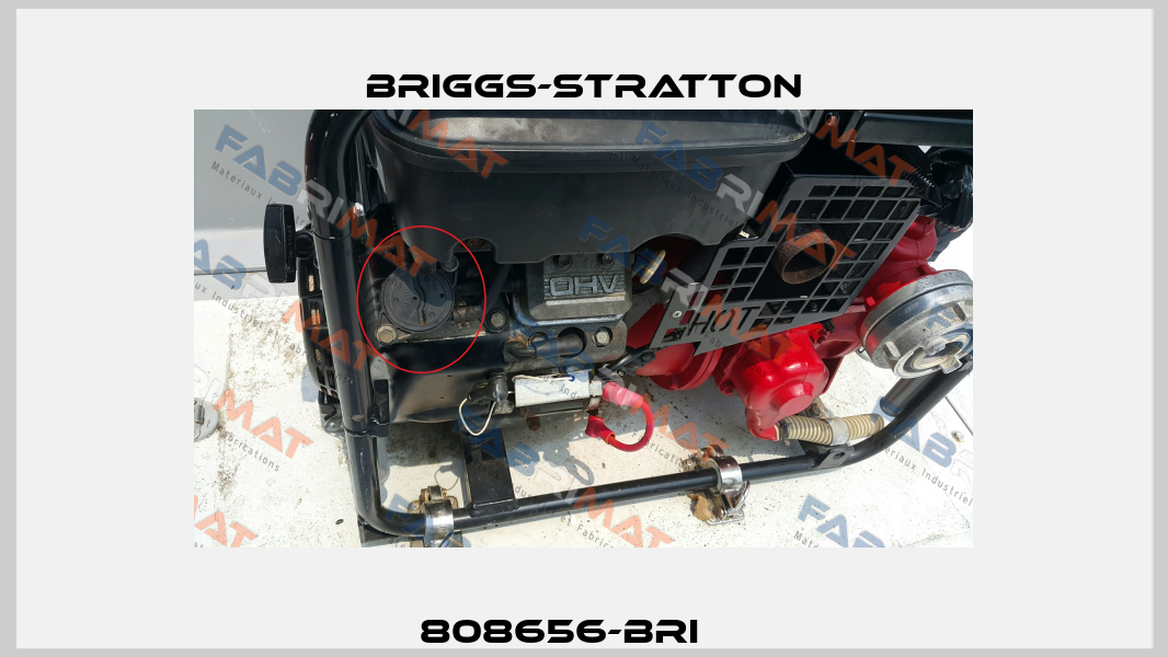 808656-BRI     Briggs-Stratton