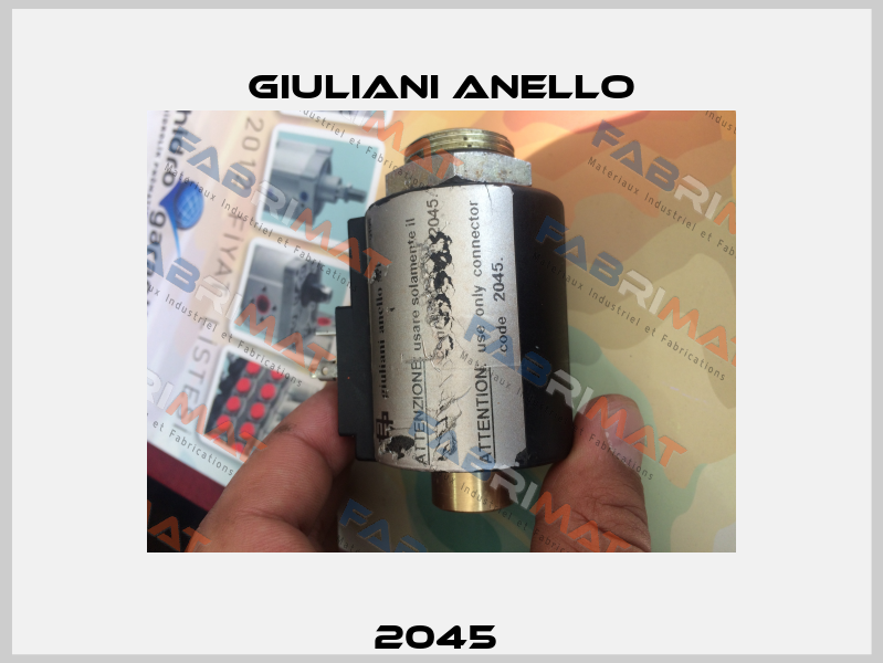 2045  Giuliani Anello
